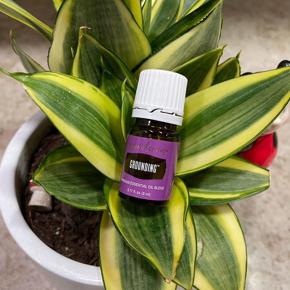 Young Living Grounding Essential Oil